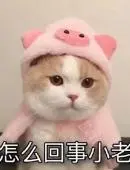 千亿游戏官网中心娱乐平台 そして大邱で金メダルを首にかけて中距離の皇帝であることを満天下に知らせた